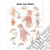 Hand & Wrist Chart Hand & Wrist Chart