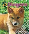 Dingoes Dingoes