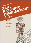 XXXIII Rapporto Immigrazione 2013. Tra crisi e diritti umani libro