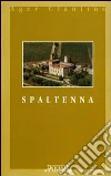Spaltenna. (La Pieve e il suo piviere) libro