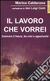 Il lavoro che vorrei. Costruire il futuro, tra crisi e opportunità libro